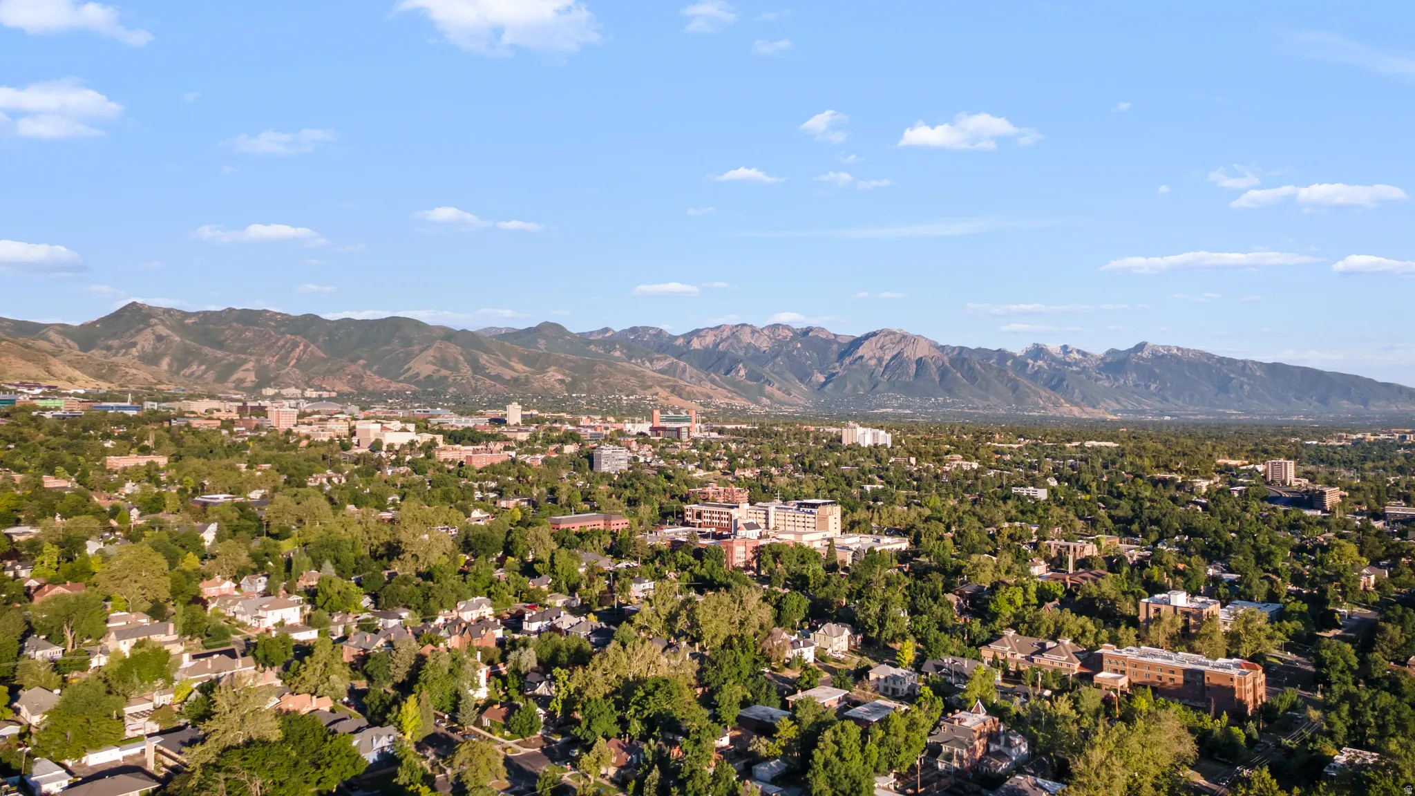 Expansive urban landscape featuring a dense tree canopy, a variety of residential structures, and distant mountains under a blue sky with scattered clouds