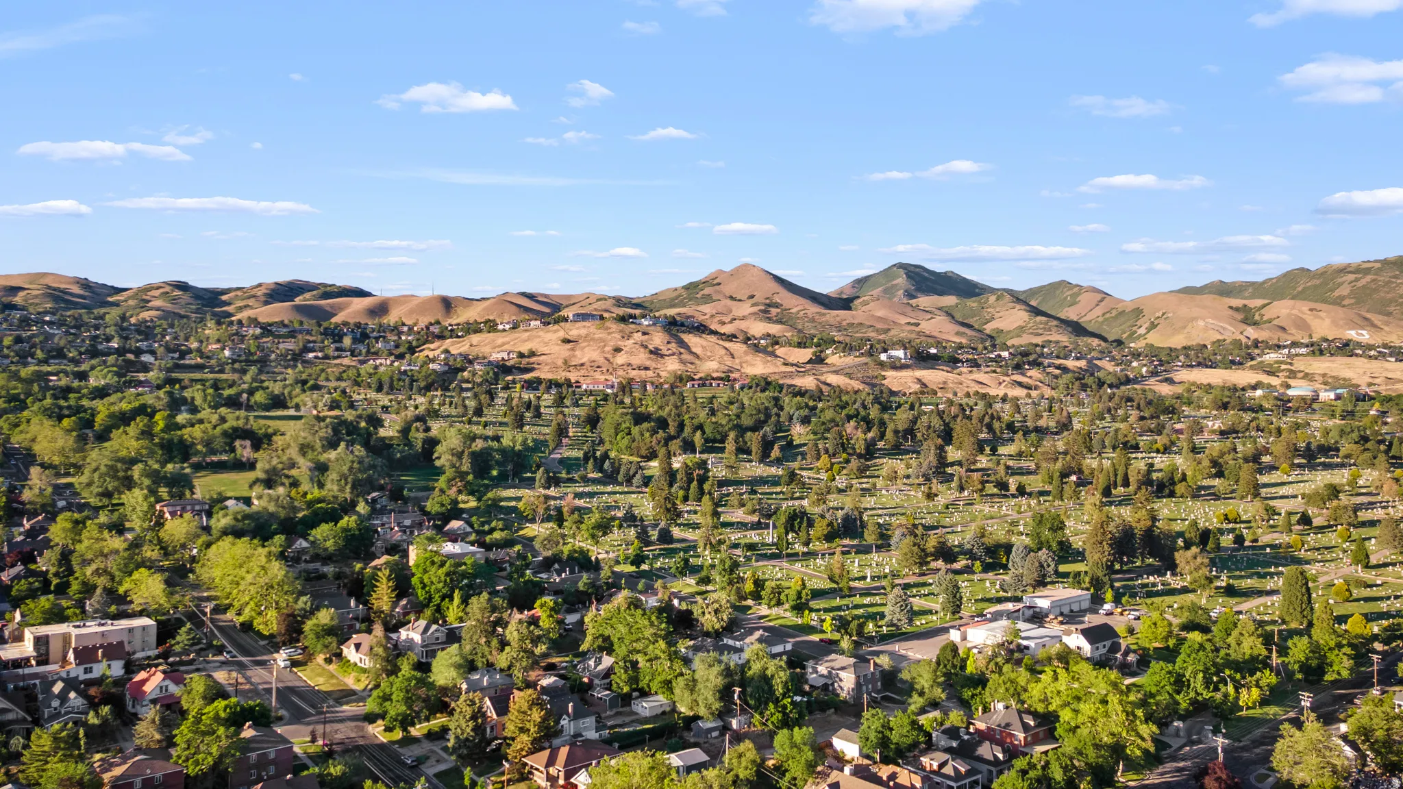 Expansive aerial perspective showcasing a verdant landscape with mature trees and established residences