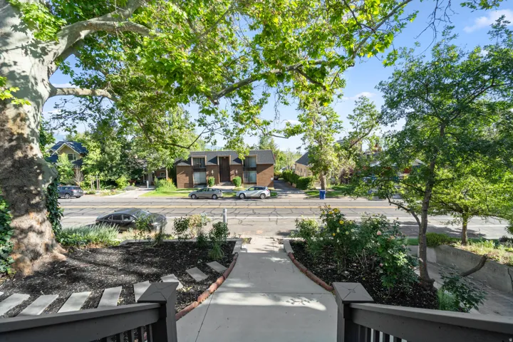 Concrete walkway with integrated stepping stones bordered by dark mulch and established rose bushes