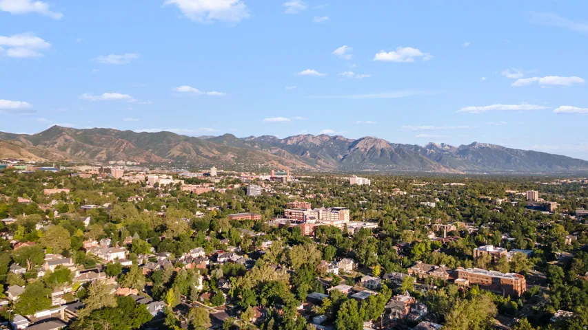 Expansive urban landscape featuring a dense tree canopy, a variety of residential structures, and distant mountains under a blue sky with scattered clouds