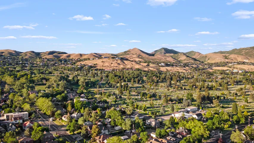Expansive aerial perspective showcasing a verdant landscape with mature trees and established residences
