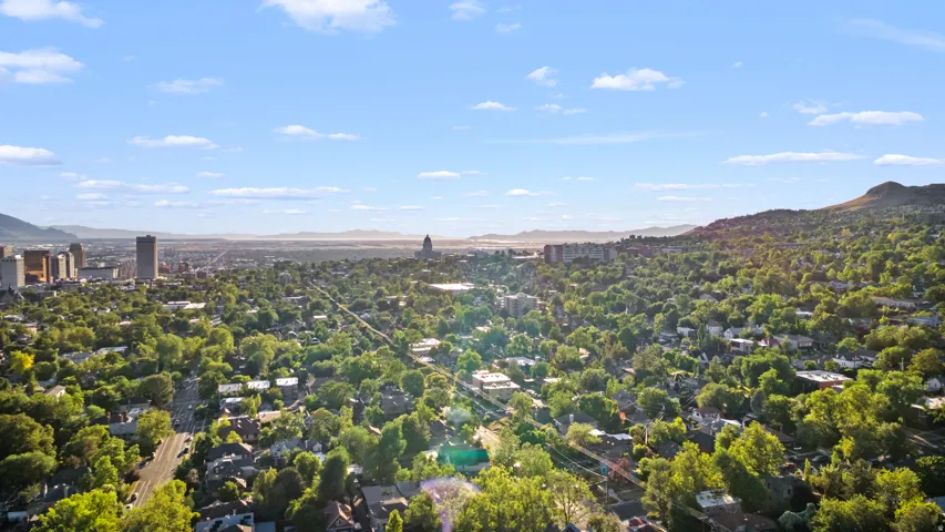 Expansive aerial perspective showcasing a verdant residential area with mature tree canopies