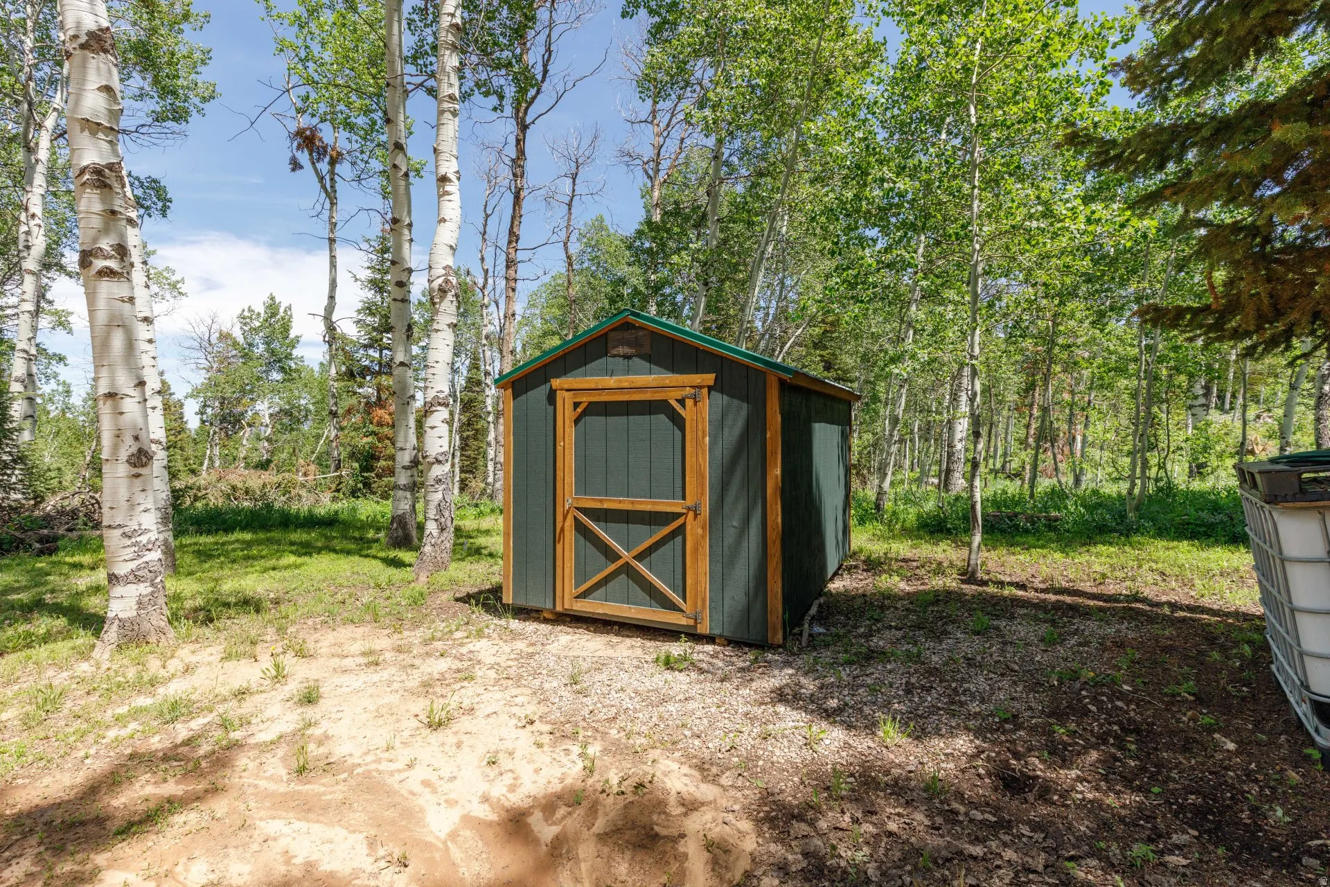 Wood-sided shed with a green roof and natural wood-finish door, set amongst mature trees