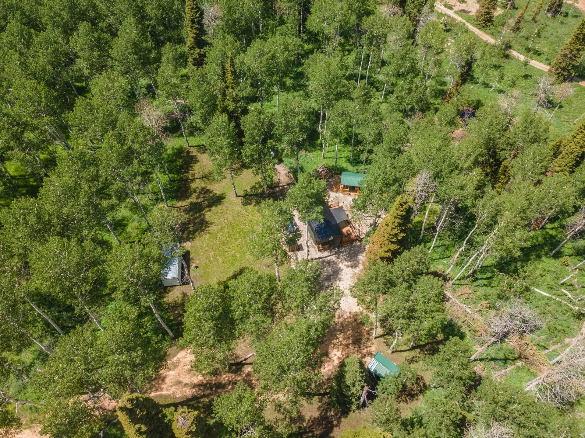 Wooded property featuring a main structure, a smaller green-roofed structure, and a secondary white structure