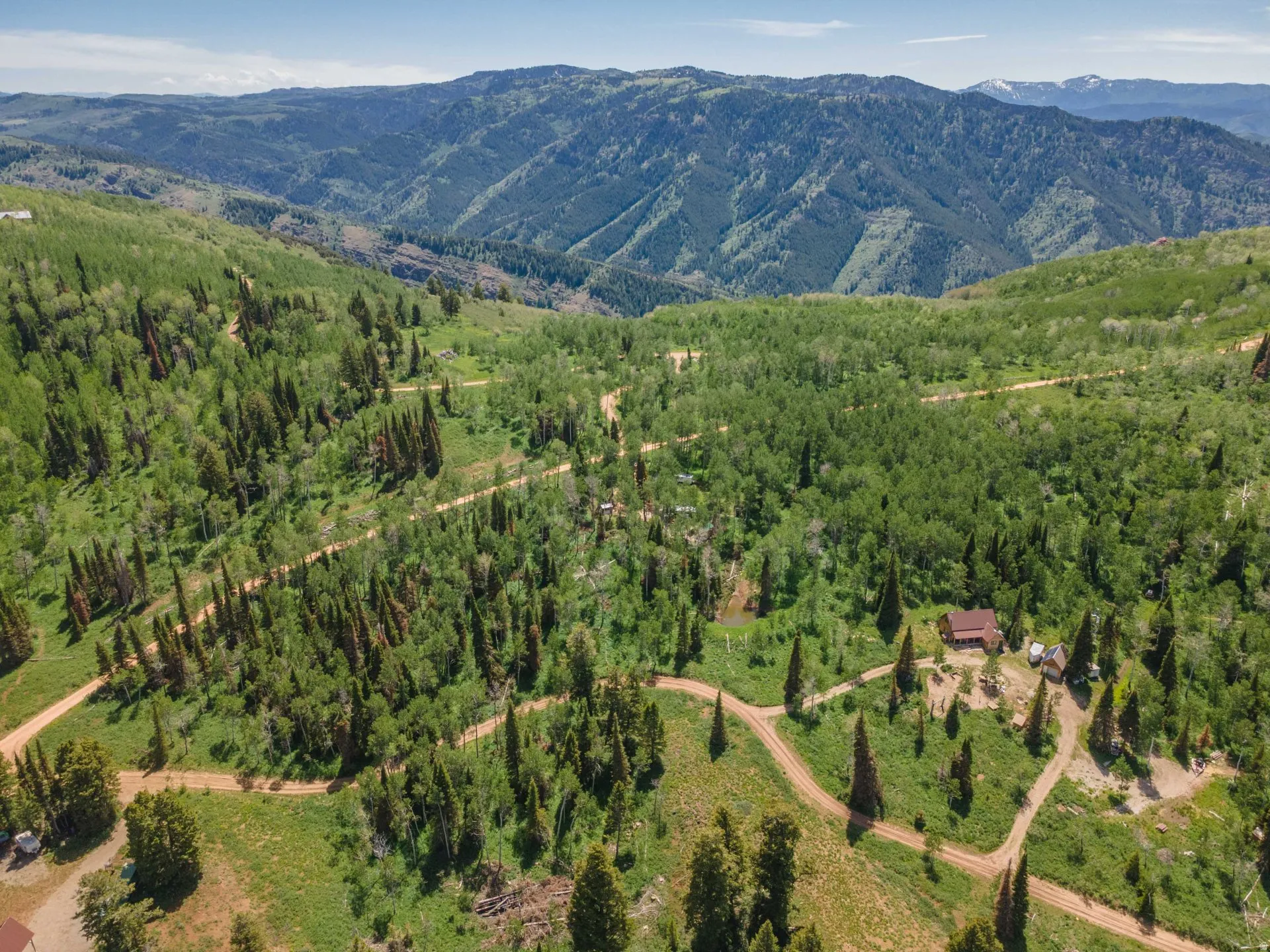 Mountainous landscape featuring verdant forests and a distant snow-capped peak