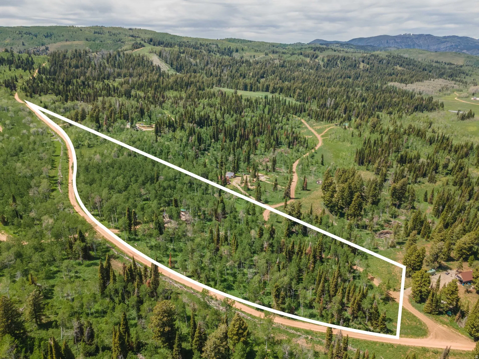 Expansive wooded parcel featuring a dirt road, mature evergreen trees, and varied elevation
