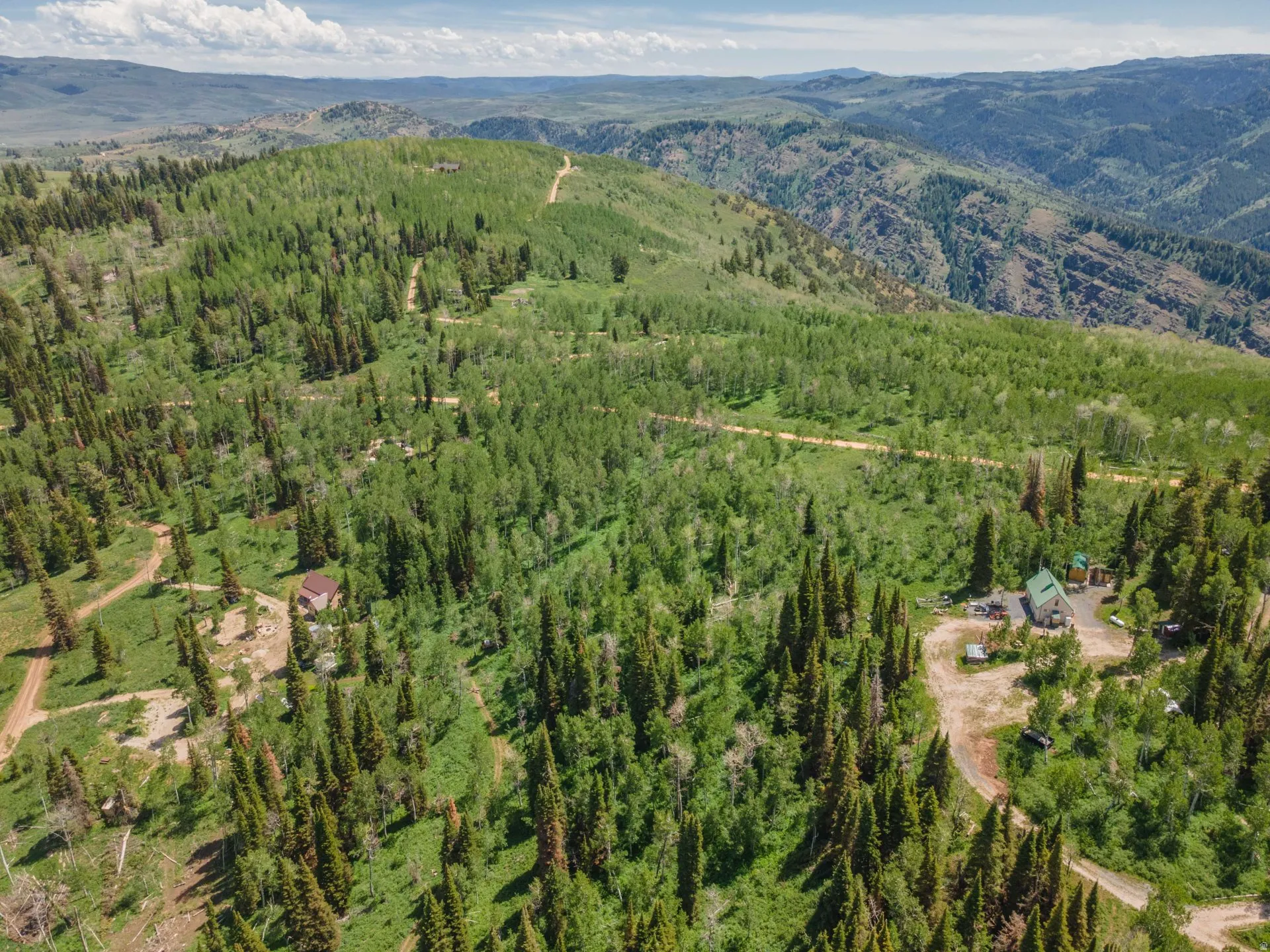 Expansive mountain terrain featuring mature evergreen and deciduous trees