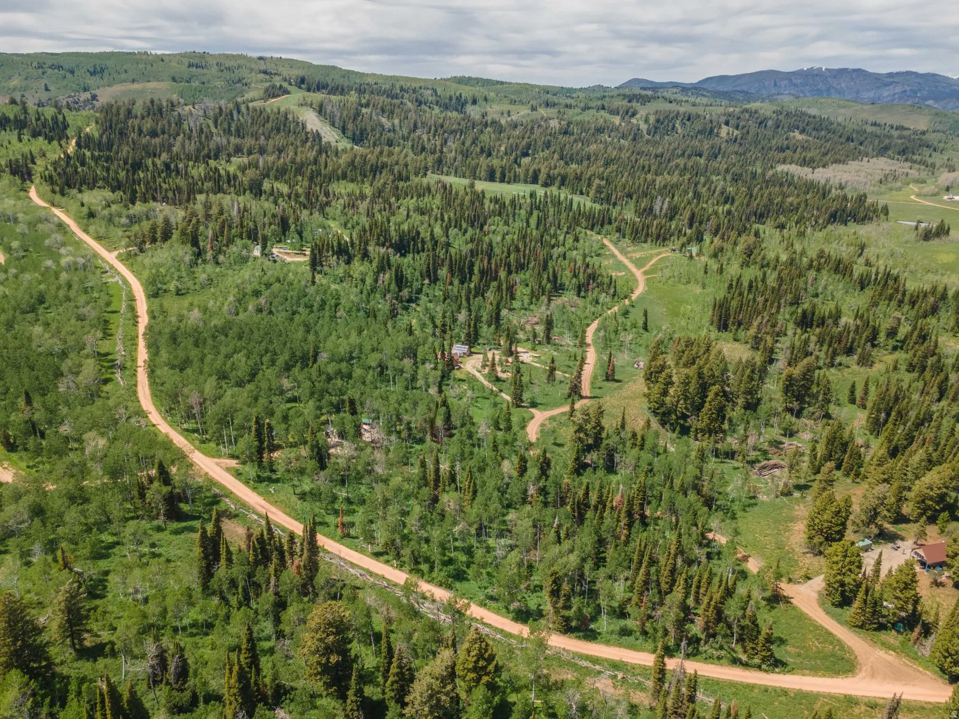 Expansive natural landscape featuring rolling hills and dense evergreen forests
