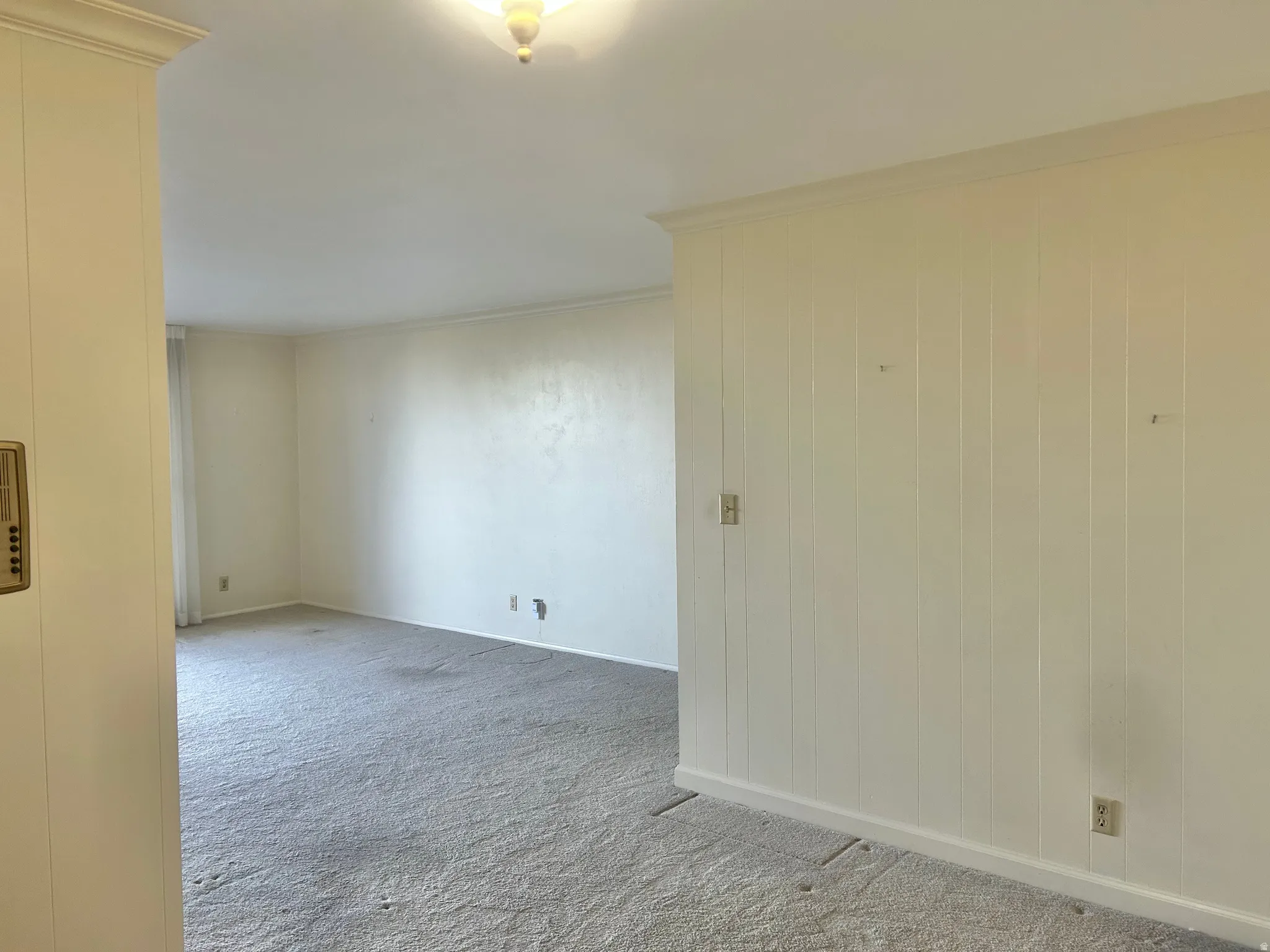 Living room featuring carpeting, cream paint, crown molding