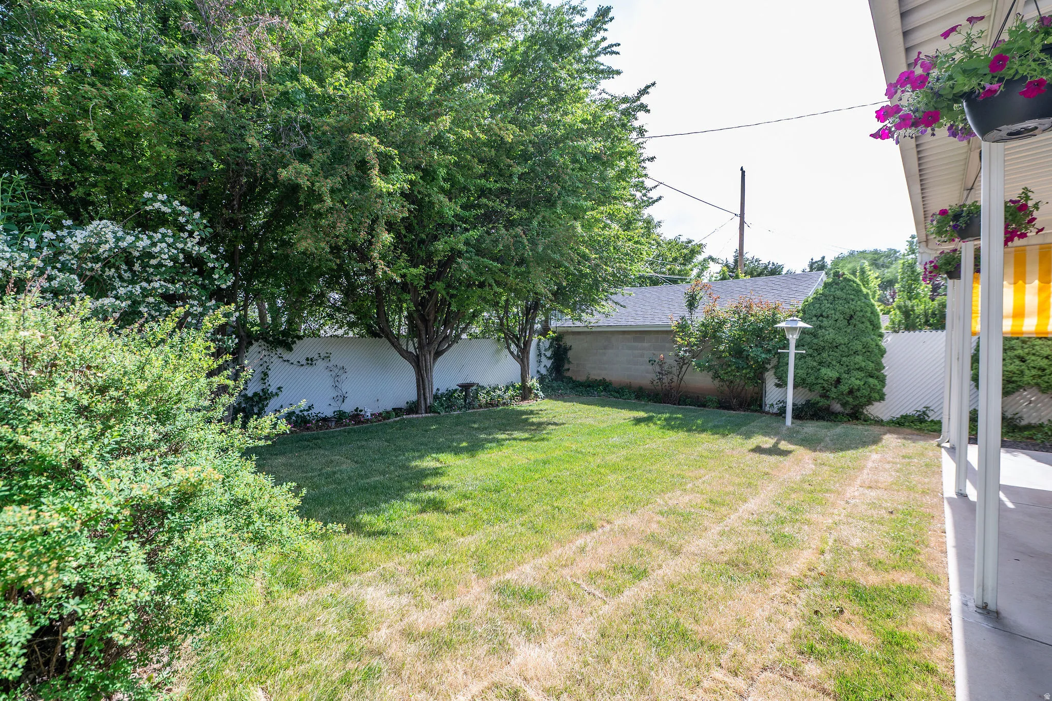 Yard
