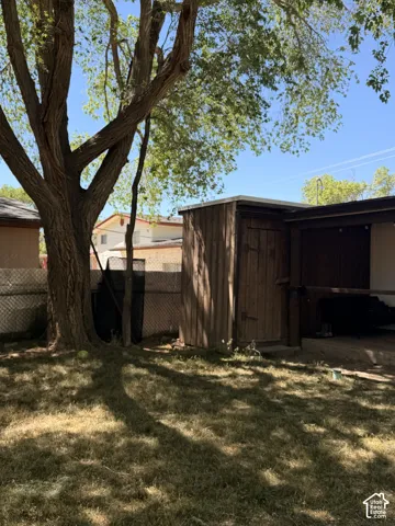 Expansive backyard featuring a mature tree providing shade, a wooden storage shed, and a chain-link fence