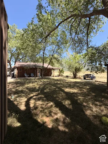 Expansive outdoor space featuring a detached structure, substantial tree canopy, natural grass areas, and a clear blue sky