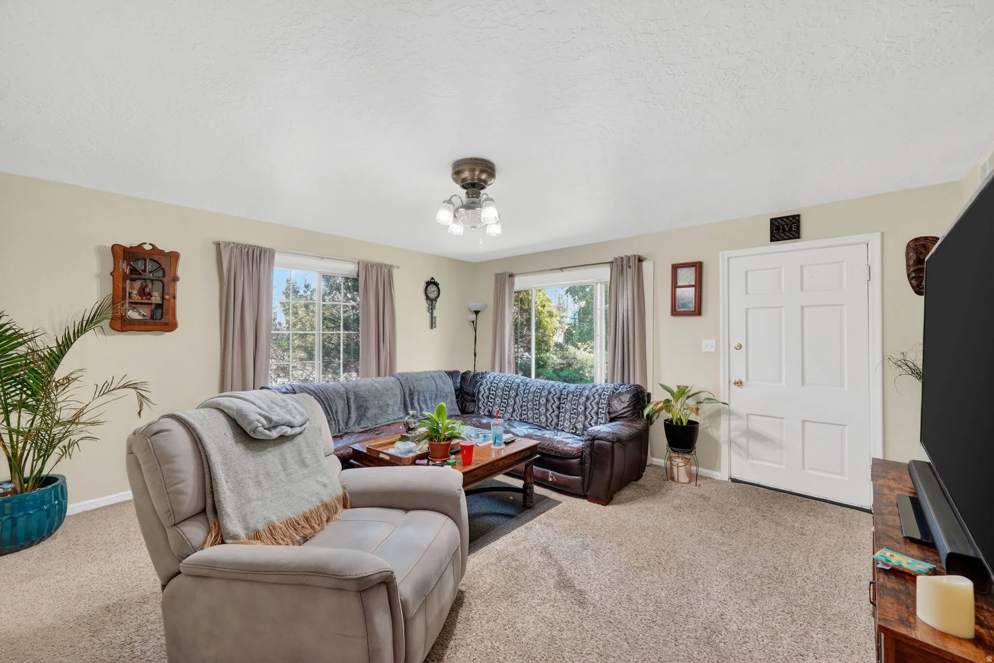 Carpeted living area featuring a multi-paneled entry door, two windows with drapes, and a ceiling-mounted light fixture