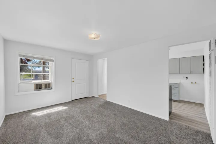 Spacious room with plush gray carpeting and white painted walls