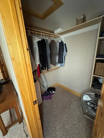 Walk-in closet featuring carpet flooring, built-in shelving, hanging rods, and wood trim accents