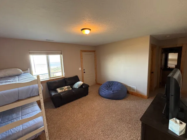 Carpeted room with a horizontal window featuring a distant outdoor landscape
