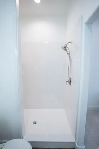 White shower enclosure with a brushed nickel showerhead and handheld sprayer, featuring a recessed ceiling light and a low-profile shower pan