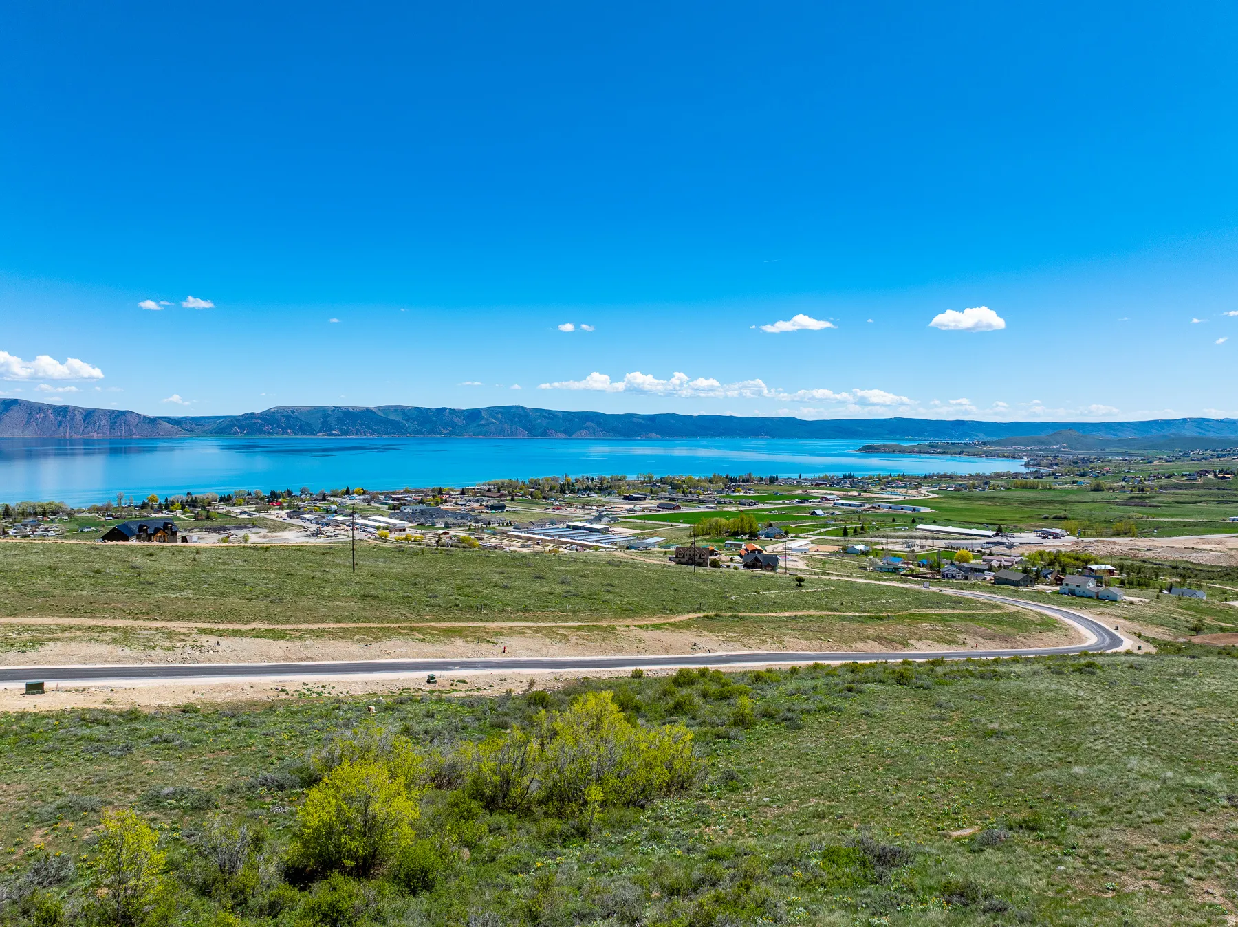 Expansive undeveloped lot featuring verdant natural landscaping and a paved road