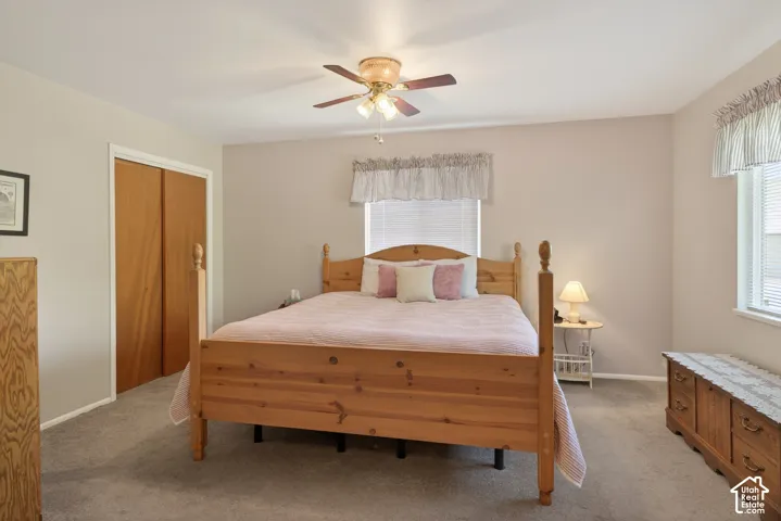 Carpeted room featuring a ceiling fan with integrated lighting, wood-finish bi-fold closet doors, and two windows with blinds