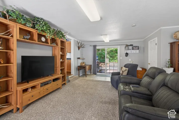Spacious living area featuring neutral carpeting and a built-in entertainment center with open shelving