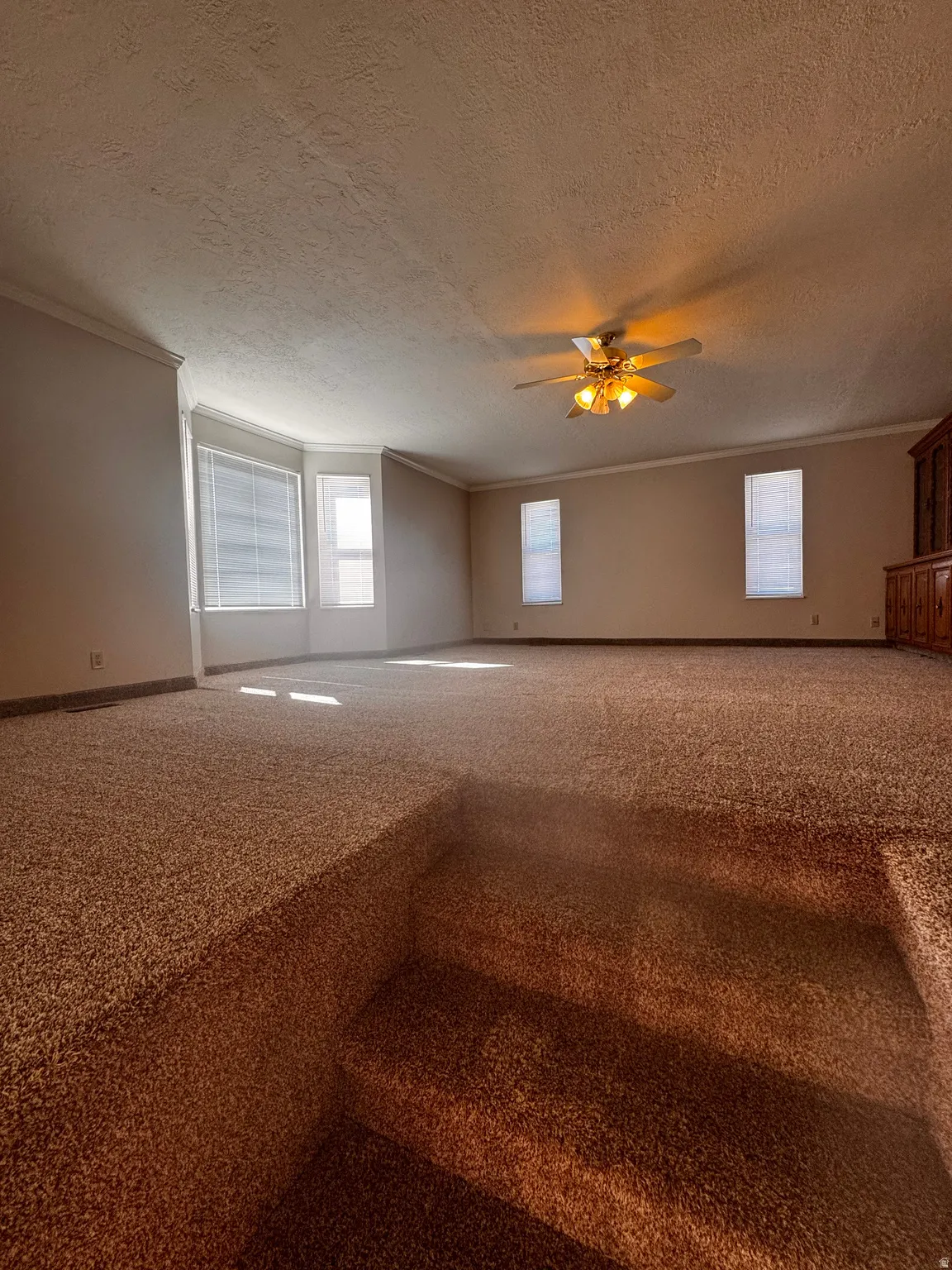 Carpeted living area featuring a bay window with blinds, additional windows with blinds, a ceiling fan with integrated lighting, and crown molding