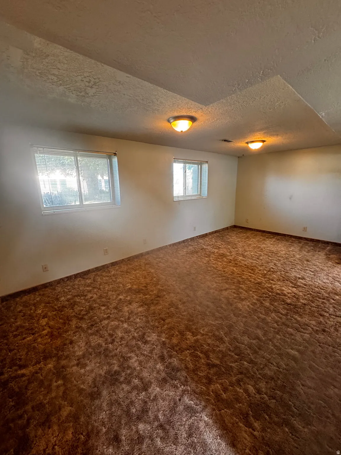 Spacious room featuring broadloom carpeting, multiple windows providing natural illumination, and ceiling-mounted flush lighting