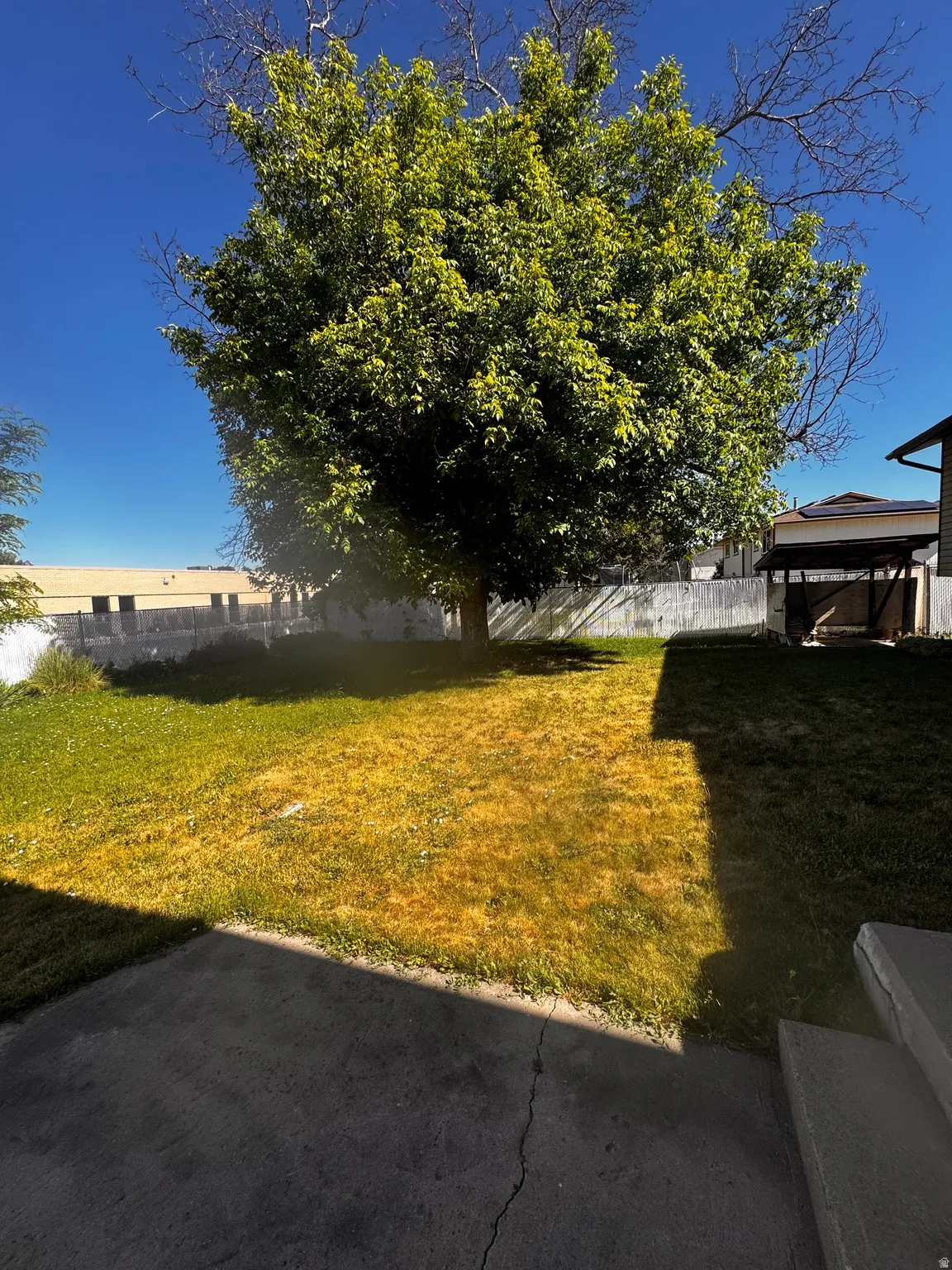 Expansive backyard with a mature tree, a concrete patio, a wooden fence perimeter, and a detached open-sided structure