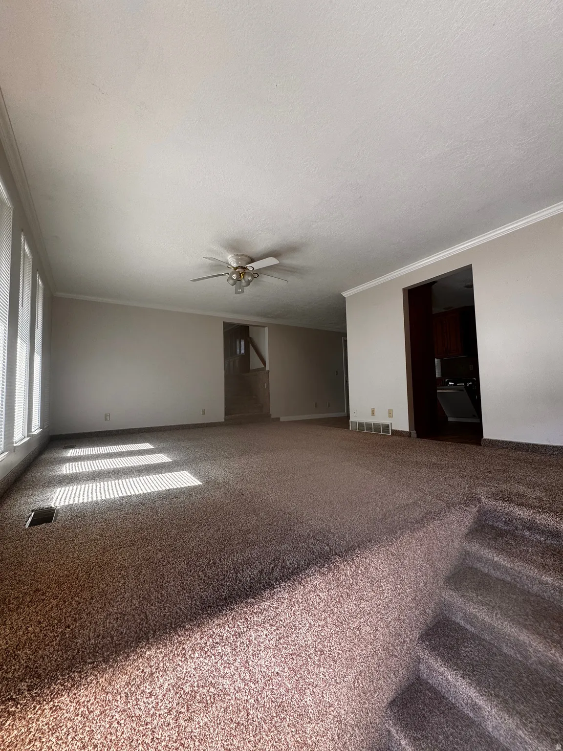 Spacious carpeted room featuring a ceiling fan with integrated lighting, multiple windows with horizontal blinds, and baseboard trim