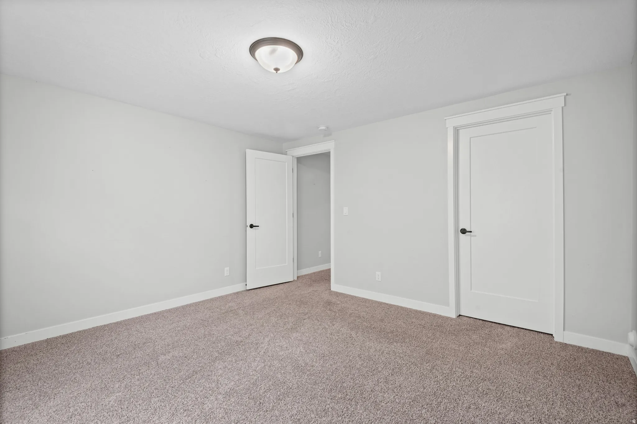Basement ADU Bedroom with walk-in closet Wall-to-wall carpeting, white trim, solid white doors, and a ceiling-mounted light fixture