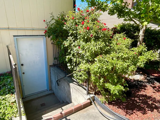 Exterior entry with concrete steps and wrought iron railings leading to a white door