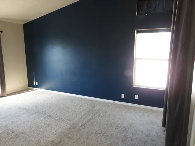 Carpeted interior space featuring a dark accent wall, a standard window, a second window opening with a curtain rod, and light-colored baseboards