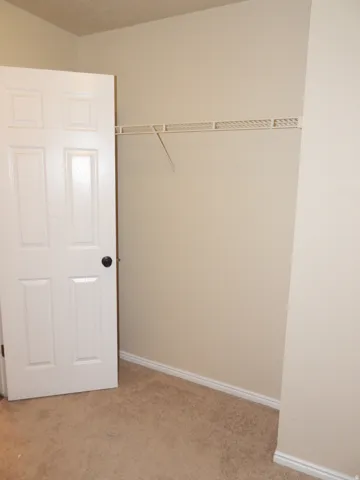 Carpeted closet with a wire shelving system, a white panel door, and baseboard trim