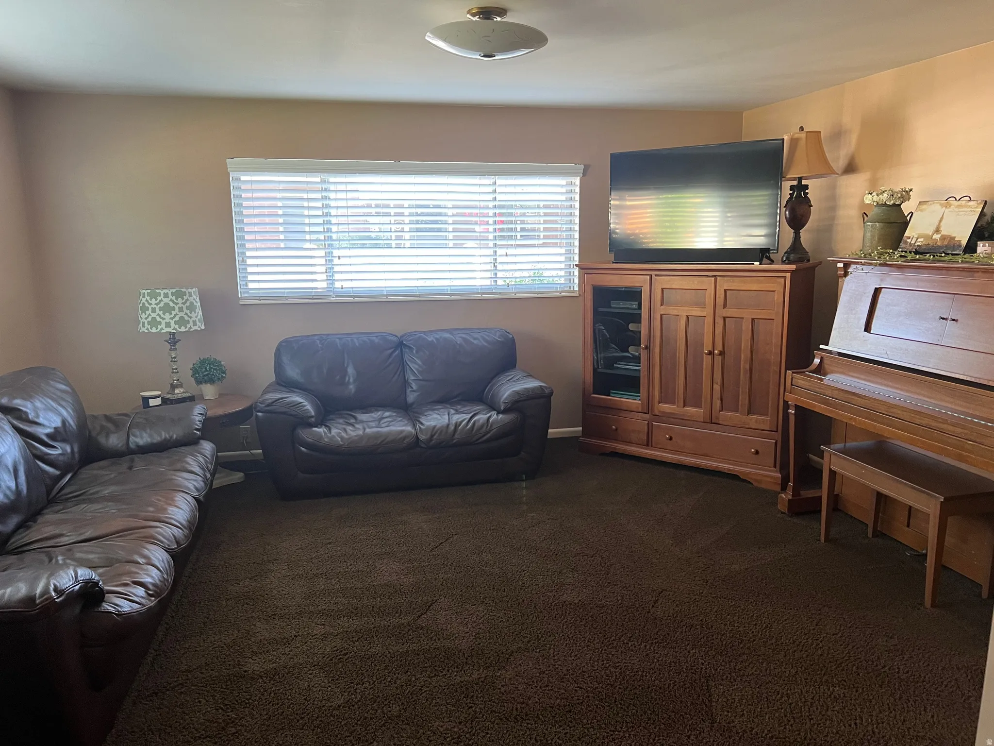 Plush brown carpeting, neutral wall color, and a window with blinds define this living space