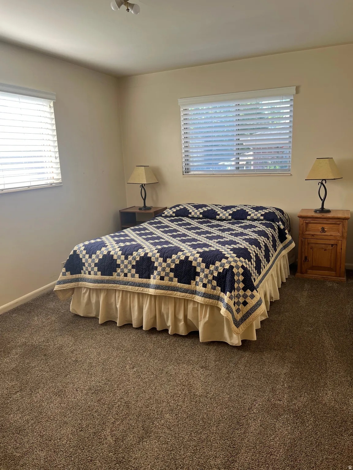 Carpeted room featuring two windows with horizontal blinds, light-toned walls, and a ceiling-mounted light fixture