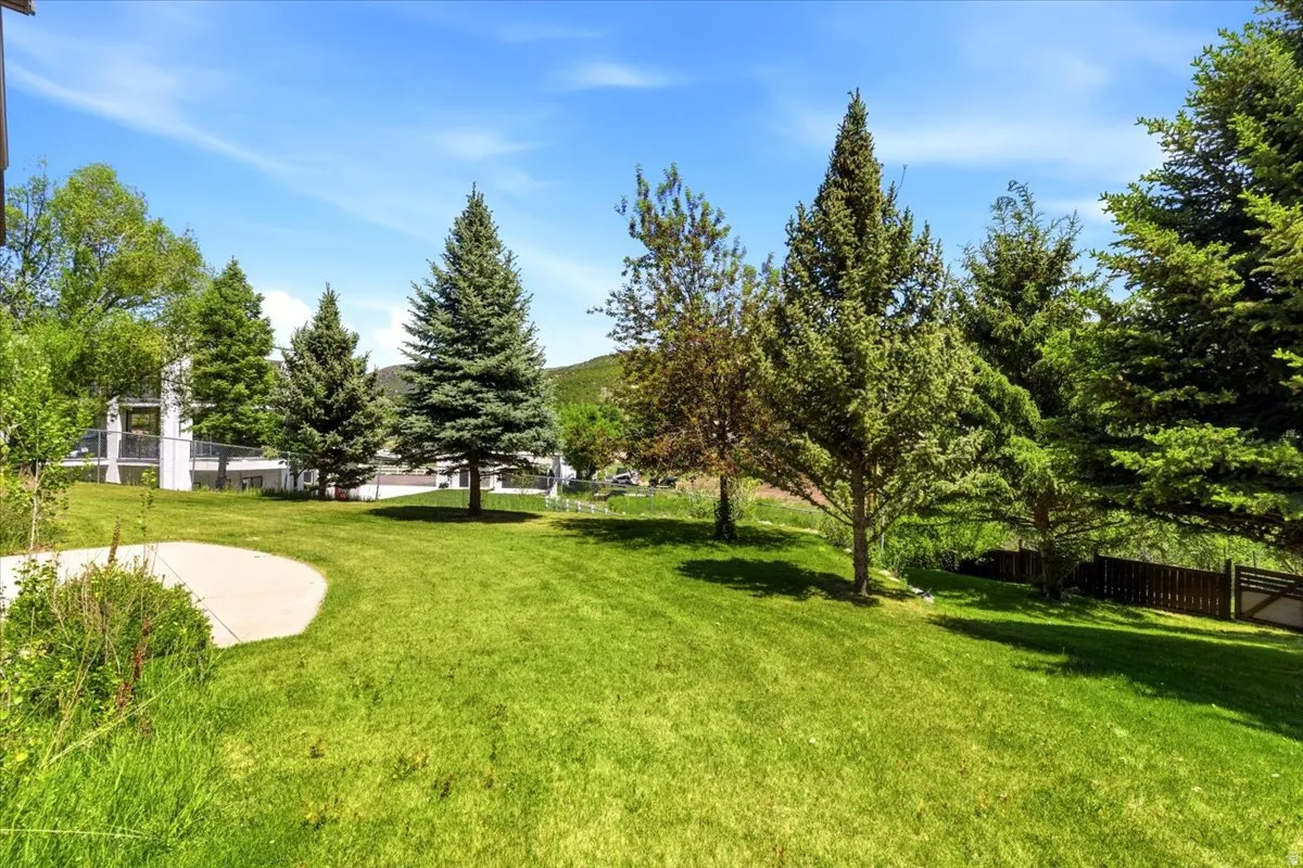 Expansive lawn area featuring mature evergreen trees and other varied foliage