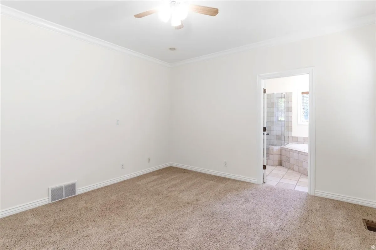 Carpeted room featuring white walls, crown molding, and a ceiling fan