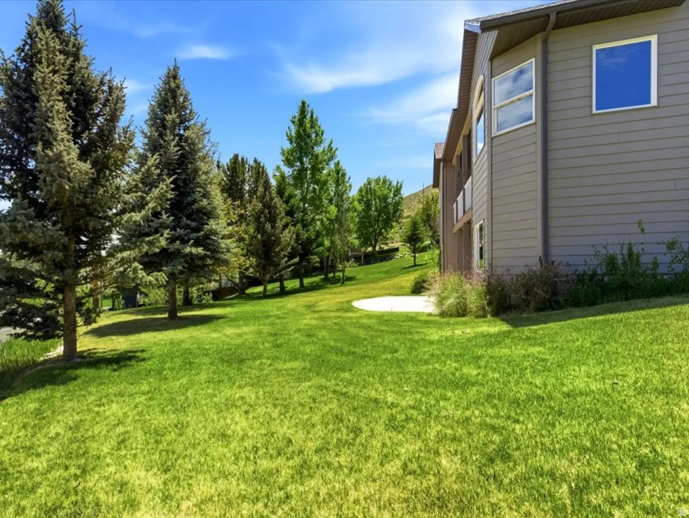Expansive green lawn with mature evergreen trees
