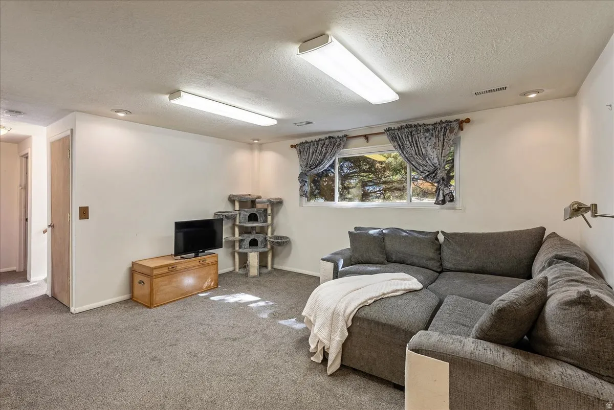 Carpeted recreation room with white walls, recessed lighting, and fluorescent fixtures