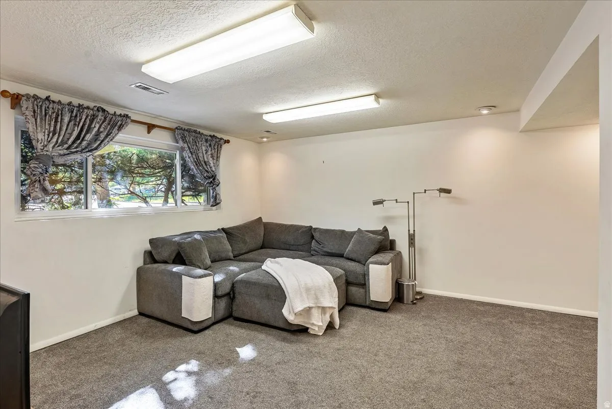Carpeted room with a large window, white walls, and a drop ceiling with recessed lighting and fluorescent fixtures