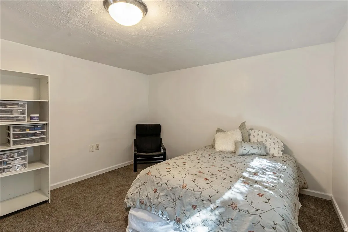 Neutral wall color, wall-to-wall carpeting, white baseboards, and overhead lighting fixture