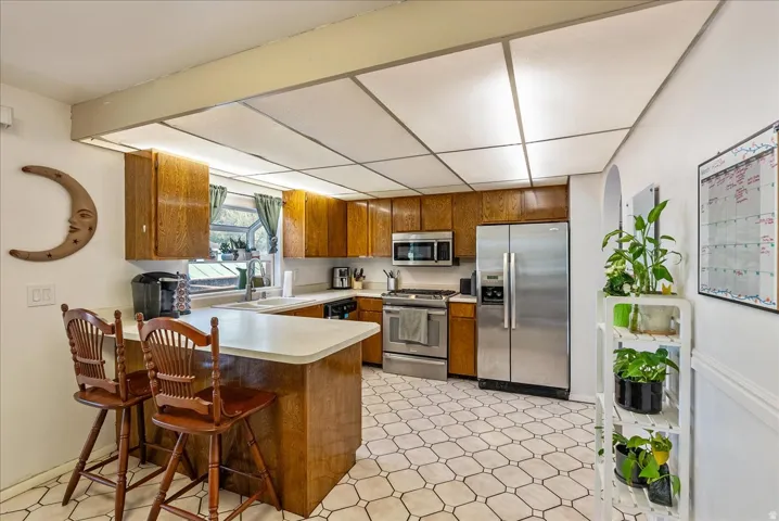 Kitchen featuring wood cabinetry, stainless steel appliances, a breakfast bar, and patterned tile flooring