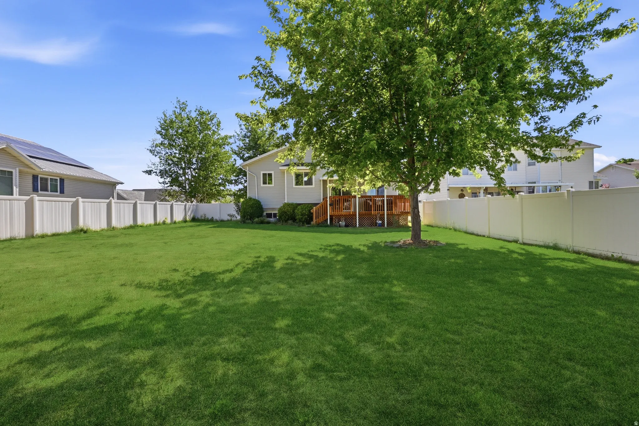 Expansive backyard featuring a manicured lawn, mature tree, and full privacy fencing