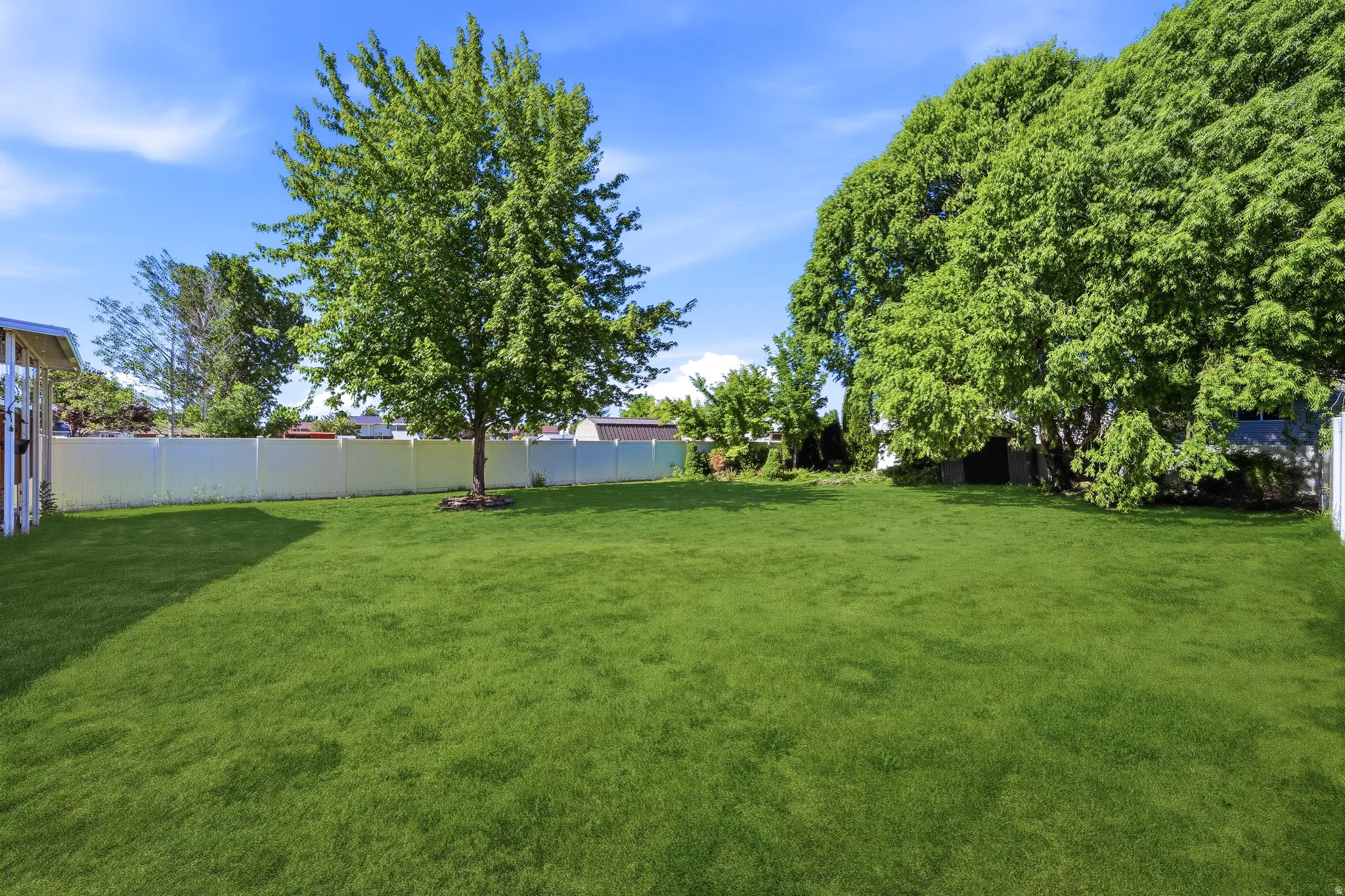 Expansive grass lawn featuring a perimeter privacy fence, mature trees, and a clear blue sky