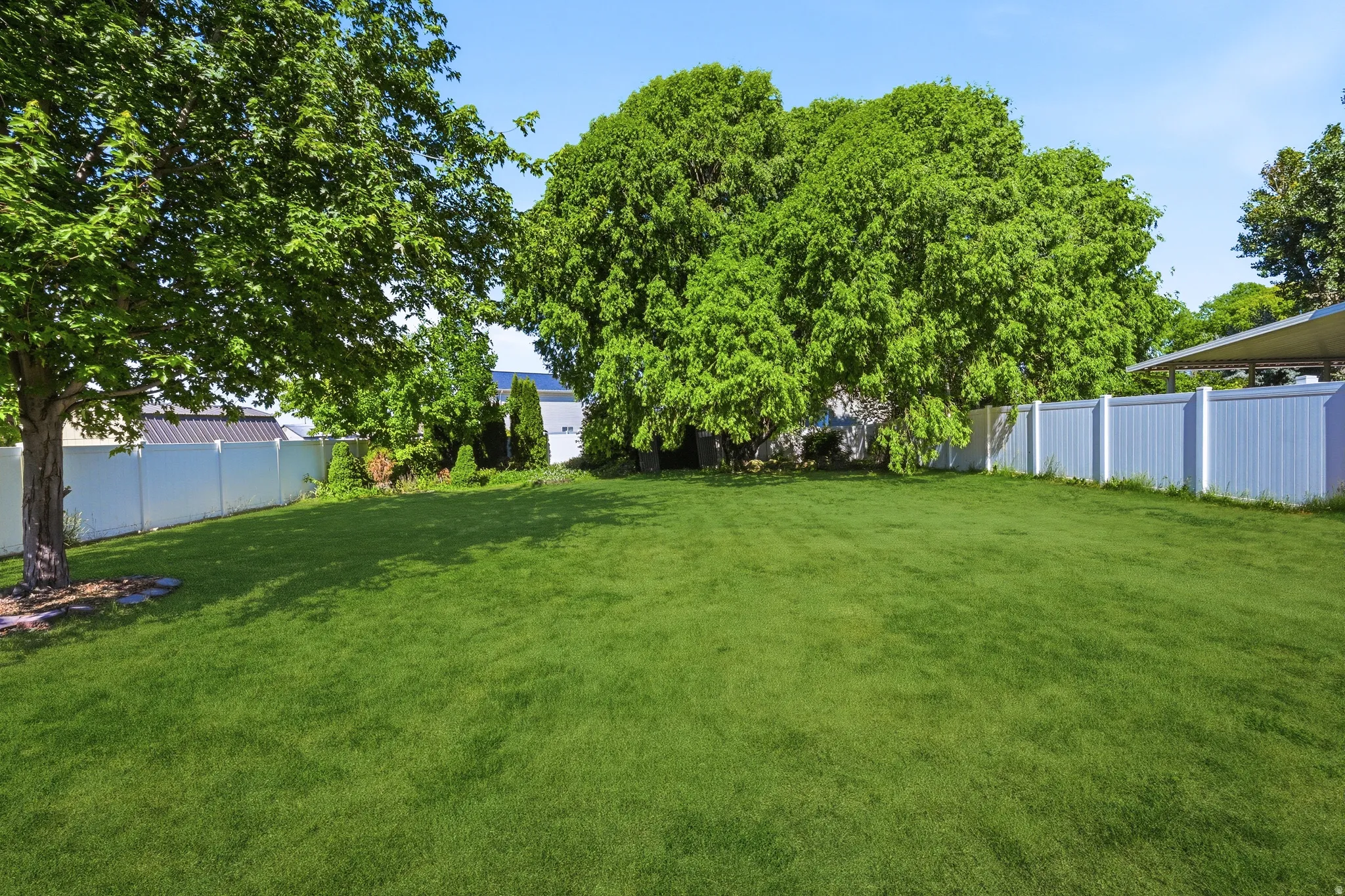 Expansive green lawn framed by a white privacy fence