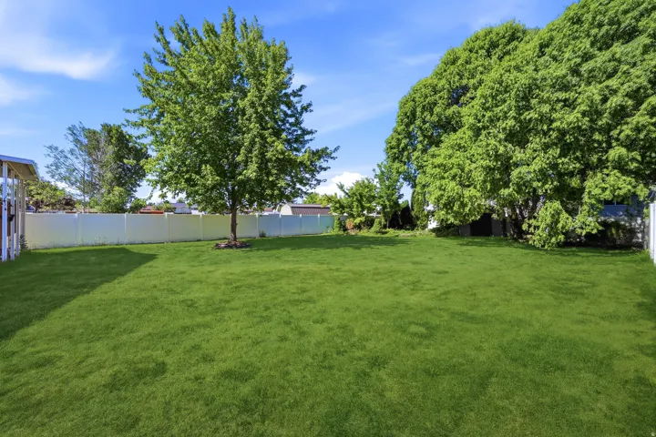 Expansive grass lawn featuring a perimeter privacy fence, mature trees, and a clear blue sky