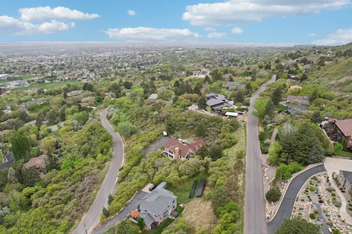 Expansive aerial panorama showcasing a verdant, tree-covered hillside with residential properties