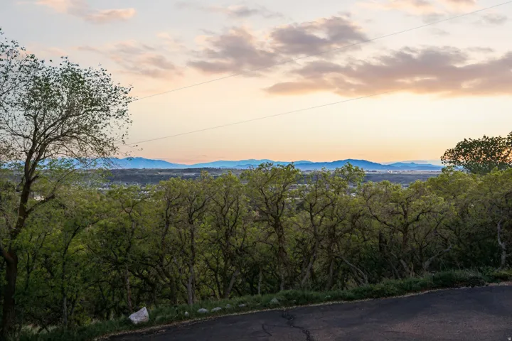 Expansive distant mountain ranges under a colorful sky, framed by dense, mature trees