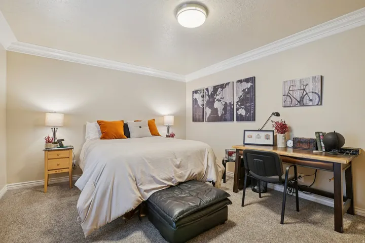 Carpeted room featuring crown molding, neutral wall paint, and a built-in ceiling light fixture
