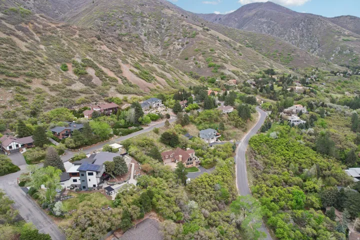 Hillside properties nestled among verdant foliage, featuring a paved road and mountainous backdrop