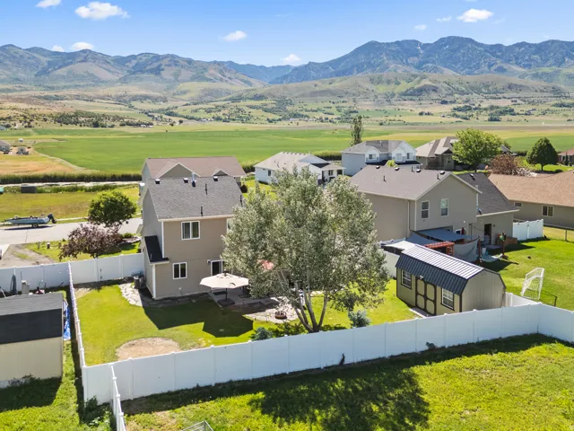 Expansive backyard featuring a manicured lawn, established shade tree, and a storage shed with a metal roof